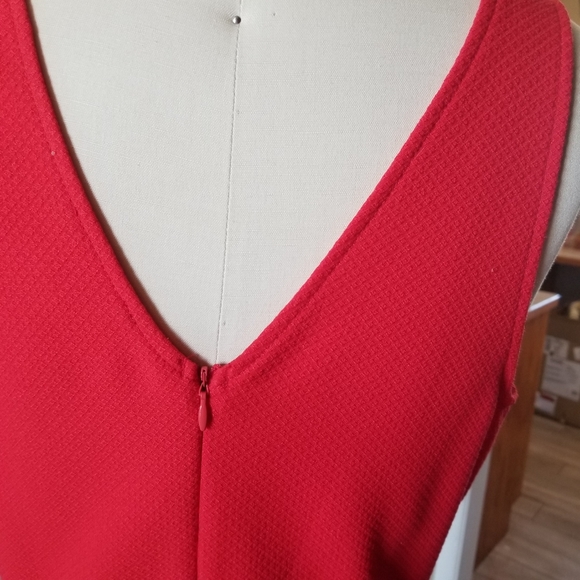 Scalloped V-Neck knee-length Dress - Picture 5 of 7